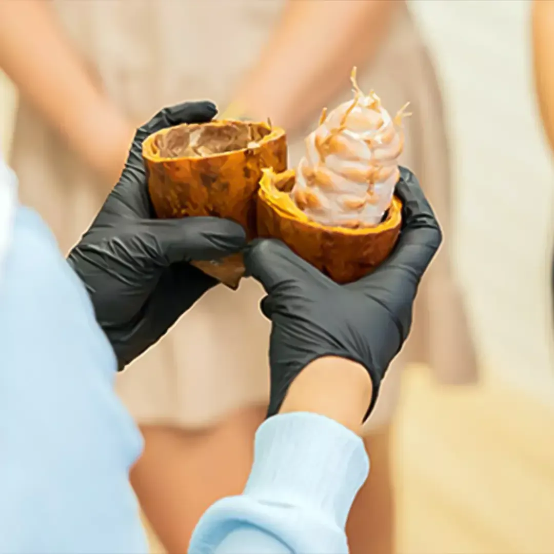 The Ultimate Chocolate Wonderland Experience