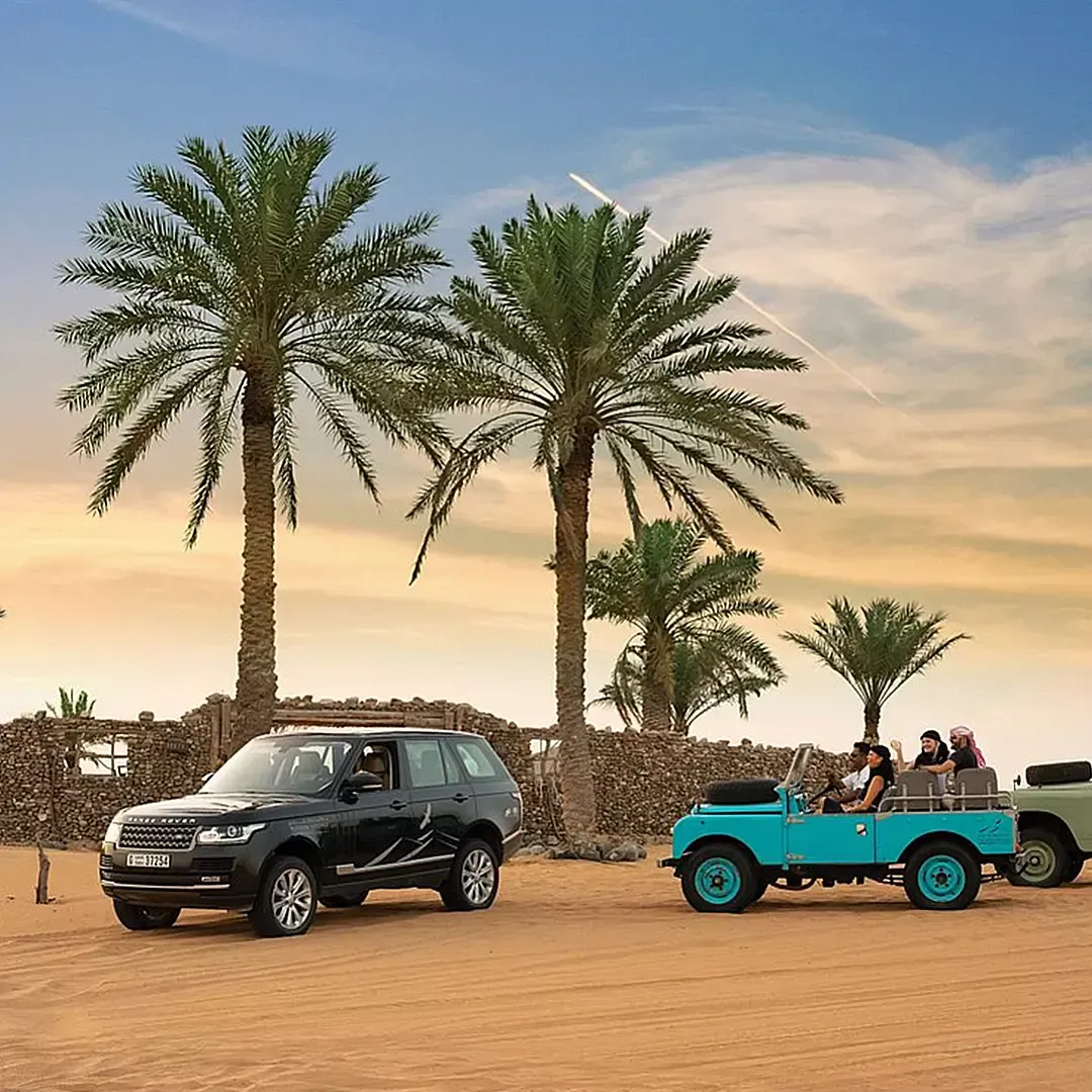 Platinum Desert Safari